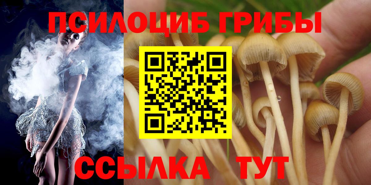 Галлюциногенные грибы Psilocybe  Вход с VPN  Кинель  Галлюциногенные грибы Psilocybine cubensis 